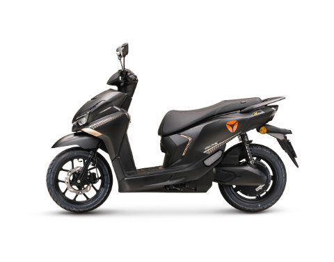 Velax 19